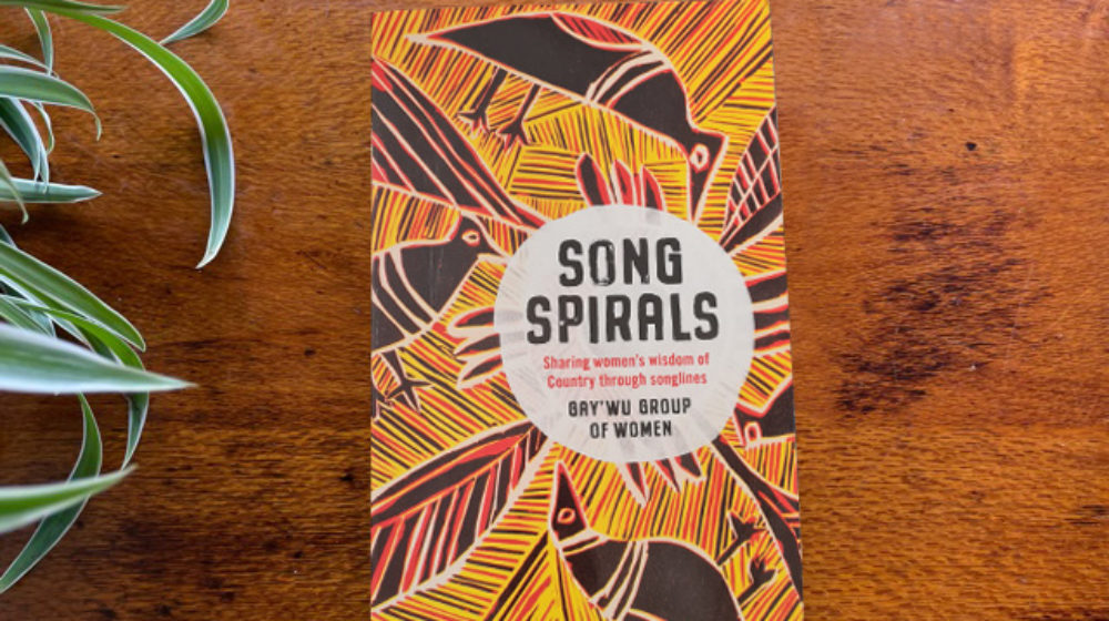 Song Spirals novel is on a wooden table, with a houseplant leave's appearing on the left side of the screen. The novel's cover is mostly yellow.